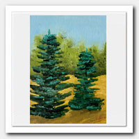 Pine trees.